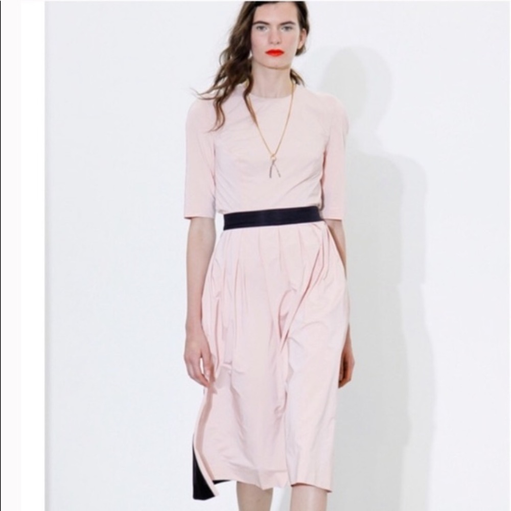 Creatures By The Wind Silk Midi Dress Size 6